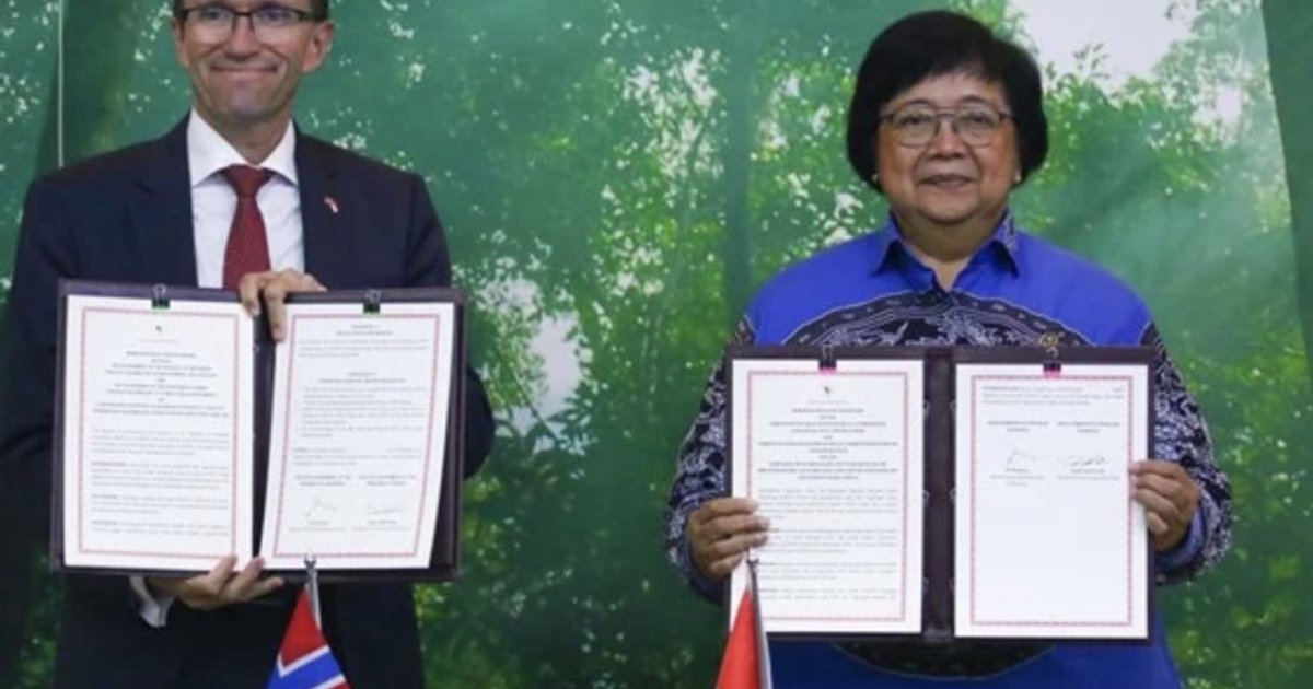 Indonesien und Japan stärken Waldmanagement und Kohlenstoffinvestitionen