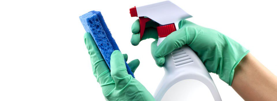 إزالة إشغالات في الإسكندرية لتحسين الحركة المرورية