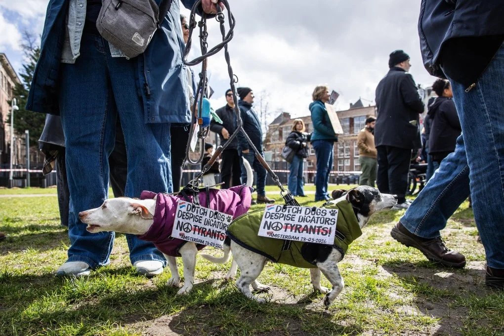 Massive Protests Against Trump in the U.S.