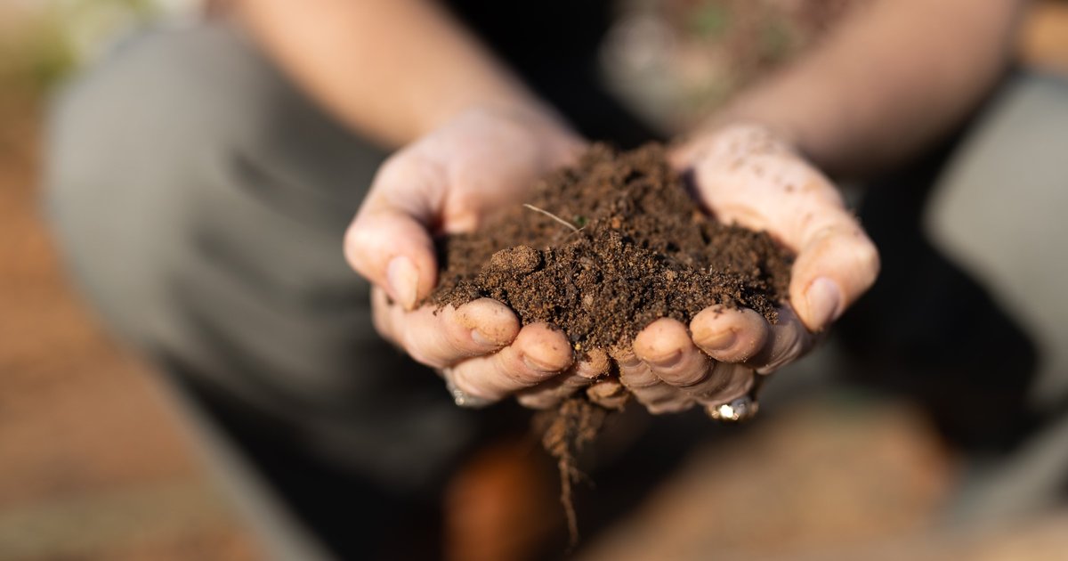كيفية صنع السماد الطبيعي للحدائق