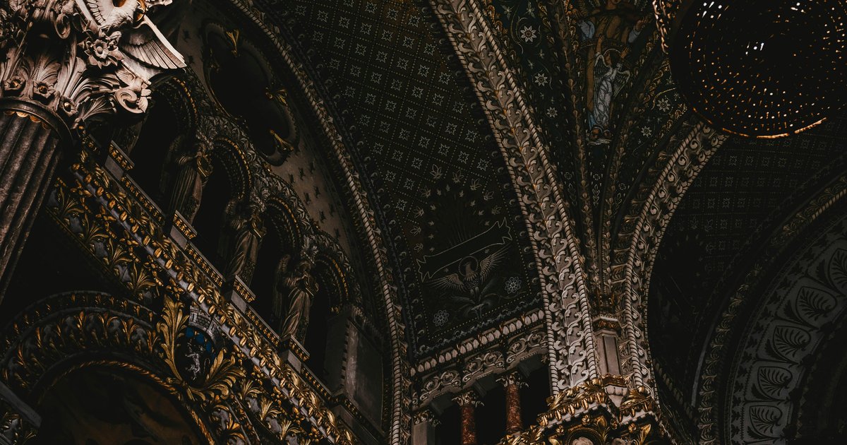 Discover Hidden Animal in Spiral Patterns Amazes Viewers