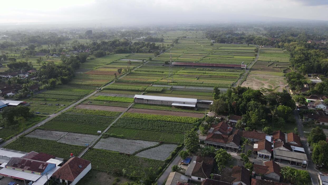 تطوير 5,000 قرية تصديرية في إندونيسيا