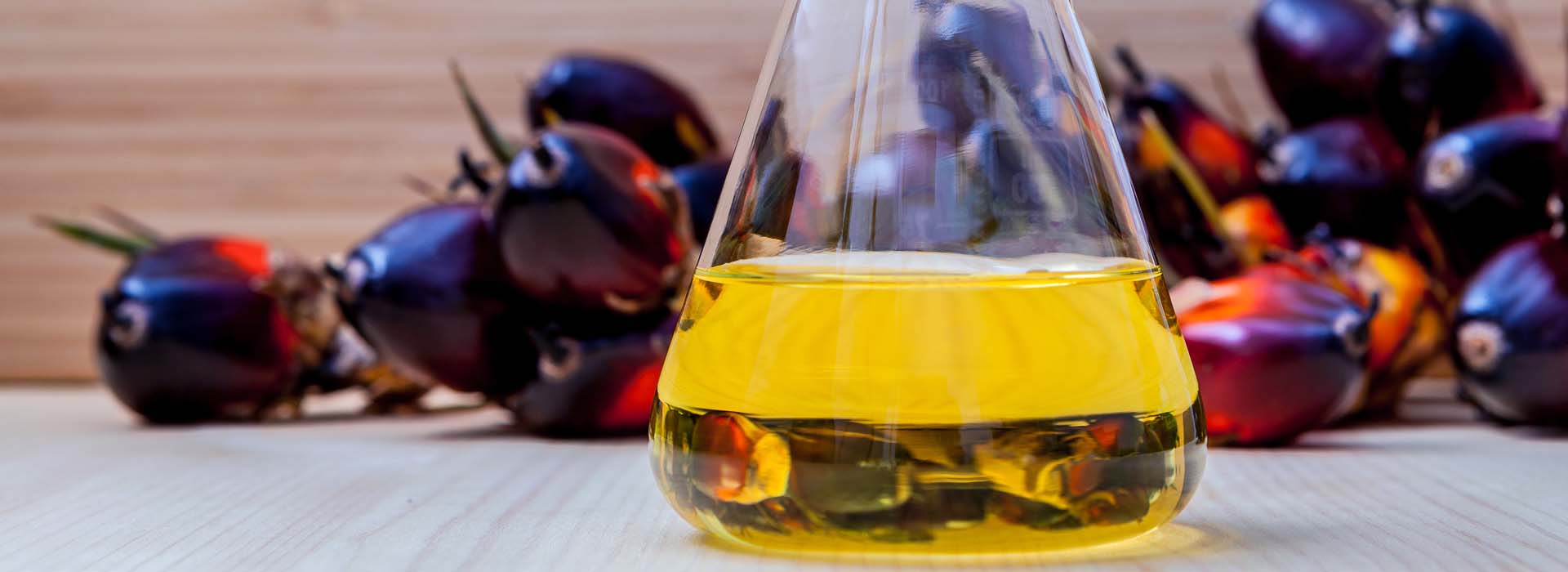 تعزيز البحث في صناعة زيت النخيل لتعزيز الاستدامة