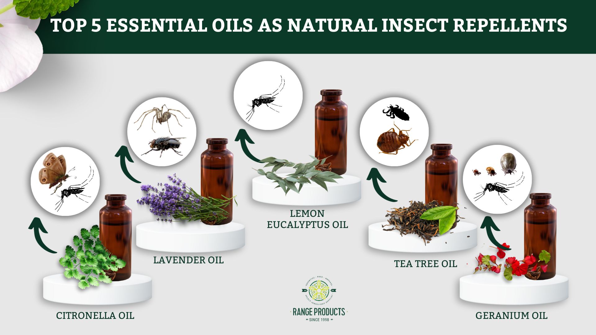 العطور والزيوت الطبيعية: فعالية طرد الحشرات