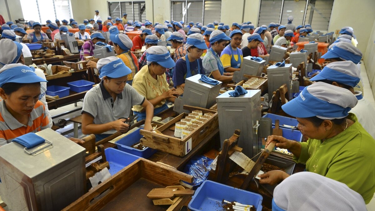 تأثير حظر المواد المضافة على صناعة التبغ في إندونيسيا