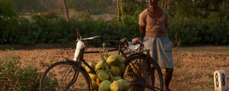 تطوير زراعة جوز الهند في كاليمنتان الجنوبية