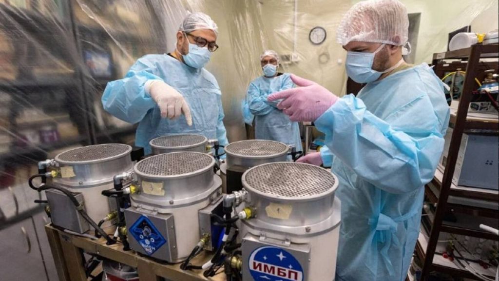 روسيا تطلق biosatelit لدراسة تأثير الفضاء على الحياة