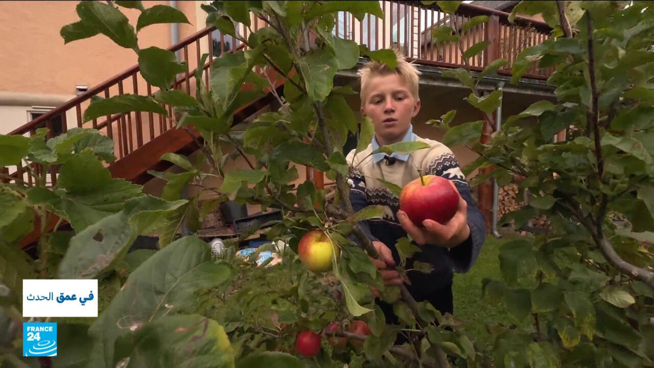 Findhorn Village: A Model for Sustainable Living