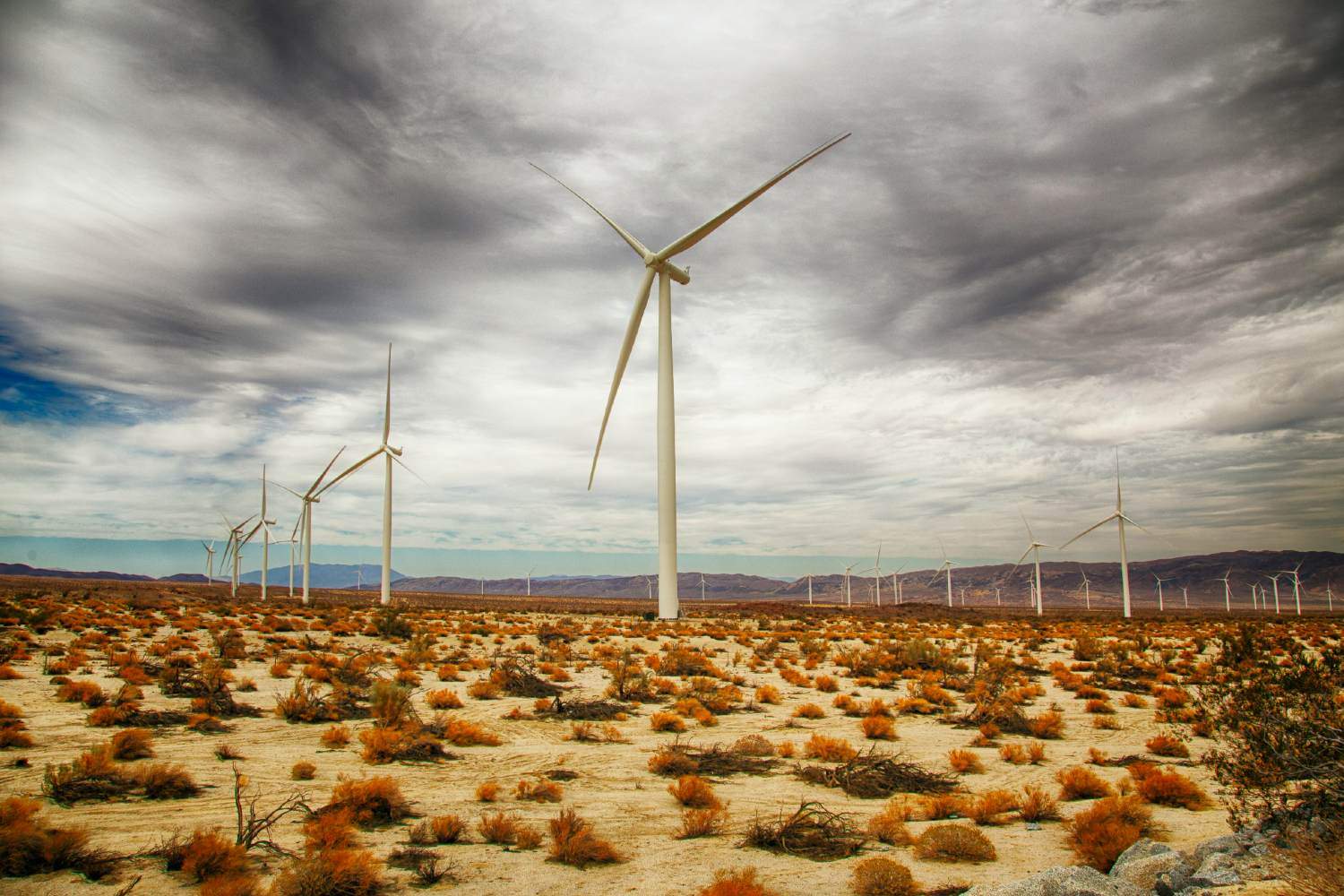 مصر تعزز الطاقة الشمسية لفتح آفاق جديدة