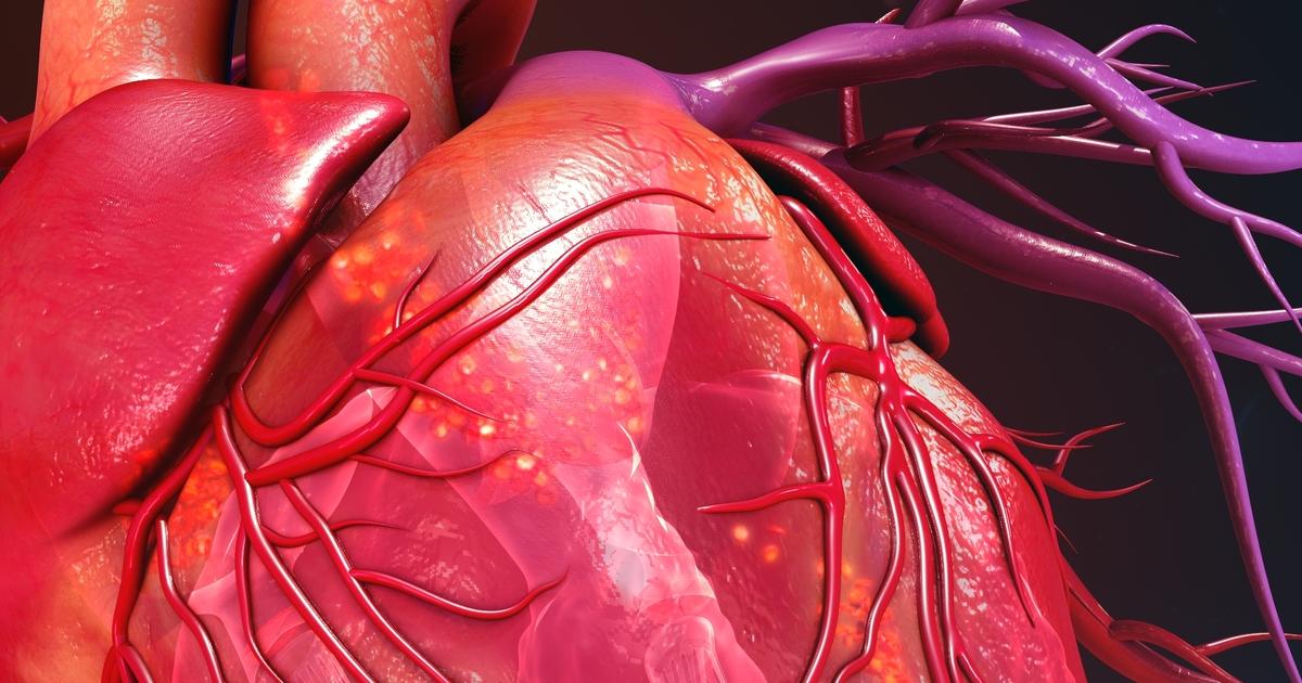 لماذا لا يصاب القلب بالسرطان؟ اكتشاف علمي جديد