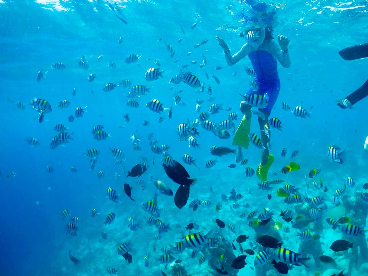 اكتشاف جسم غريب في غيلي تراوانغان: الشرطة توضح