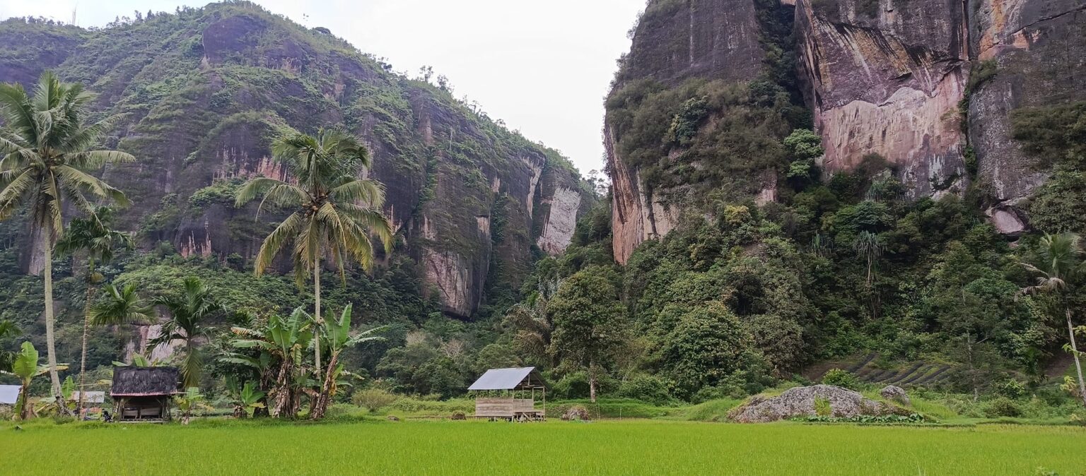 تسريع المشاريع الاستراتيجية في سومطرة الغربية