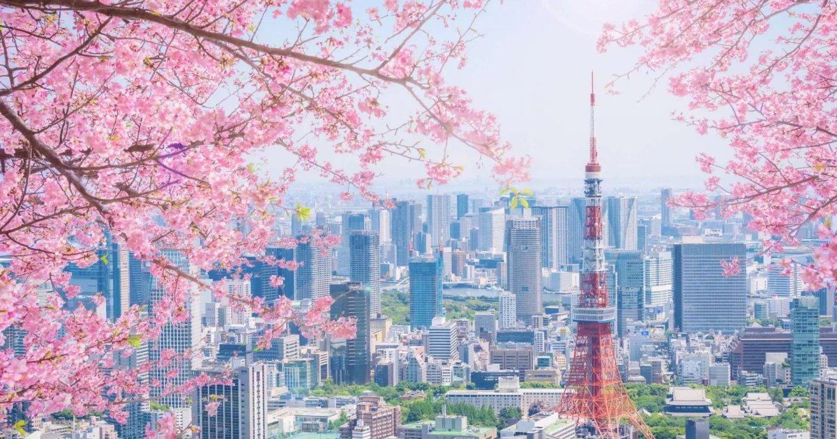 Blooming Spring Flowers Around the World