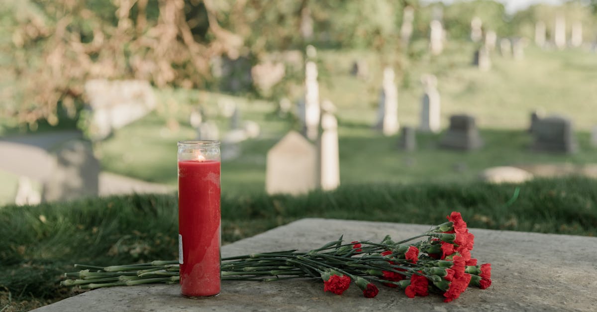 Condoléances de Sultan Ben Zayed pour Zahir Abu Al-Adib