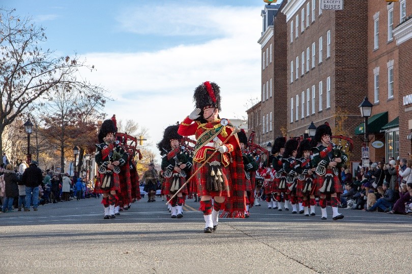 موكب حضاري يعيد أمجاد الإسكندرية