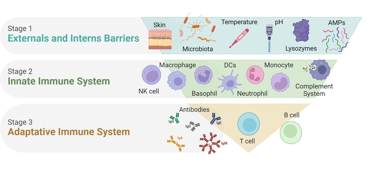 Study Reveals Negative Effects on Immunity