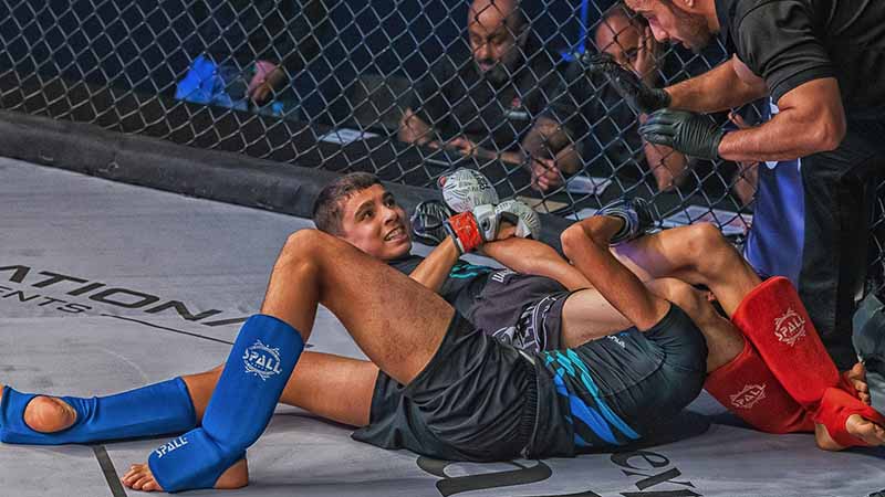 مقاتلون إماراتيون يضيئون سماء أبوظبي