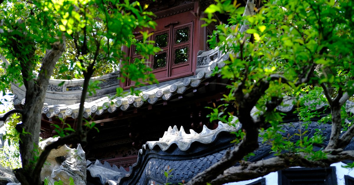 تحولات عمال المناجم في الصين: من الفحم إلى المعكرونة