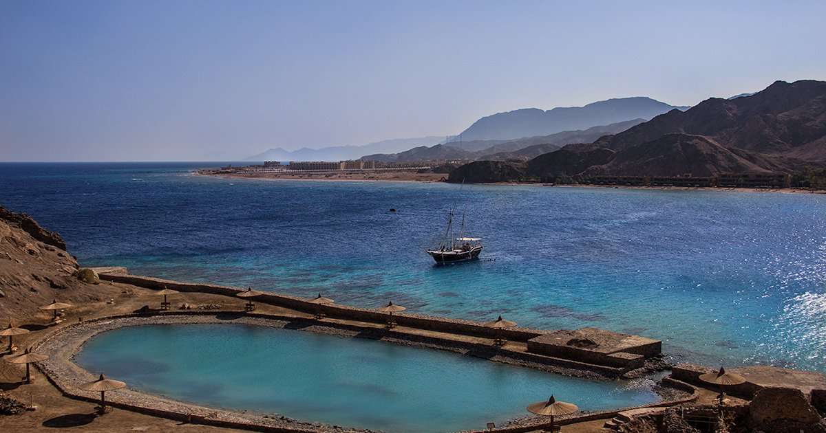 افتتاح حديقة الزهور في طور سيناء لتعزيز السياحة