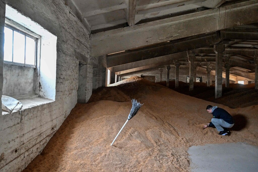 تصاعد التوتر بين أوكرانيا وإسرائيل بسبب الحبوب المسروقة