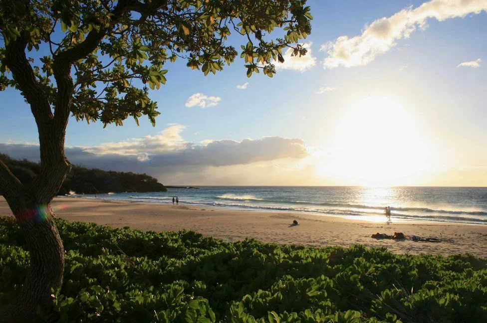 Plages de Jubail : Destination touristique unique au golfe Arabe
