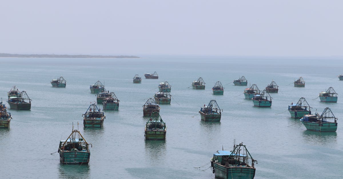 تأثير الحرب في إيران على حركة الملاحة في مومباي