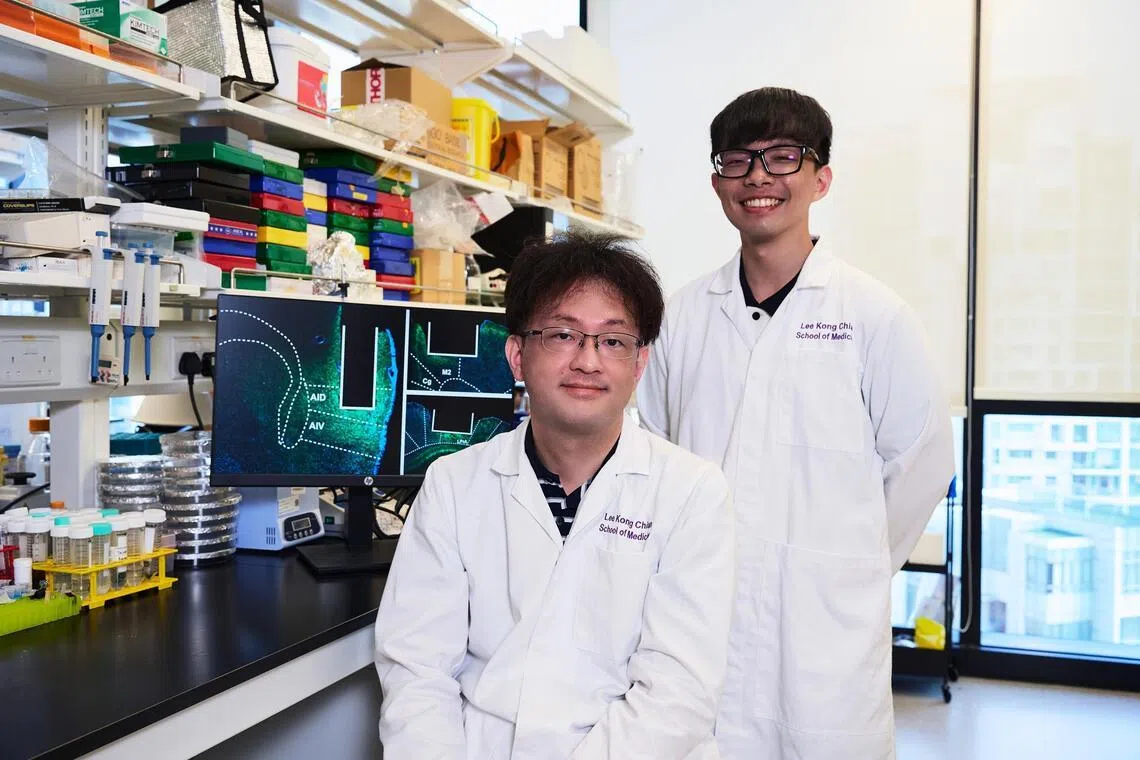 دراسة سنغافورية عن السلوك الاندفاعي