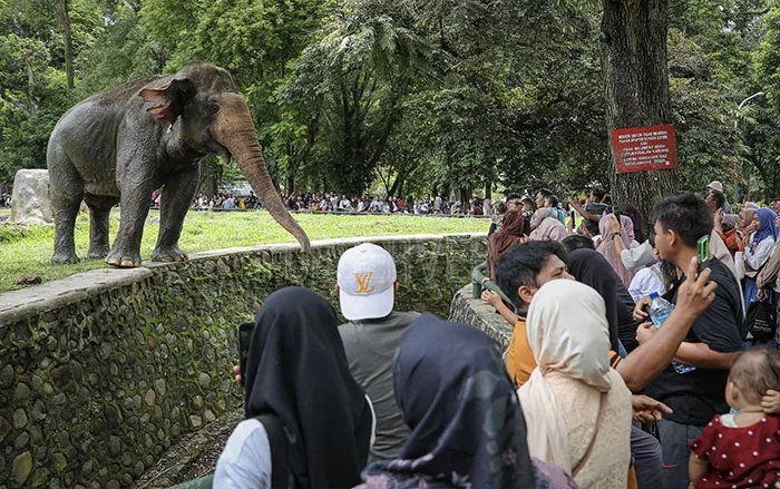 421.869 Besucher im Ragunan Zoo während des Eid al-Fitr