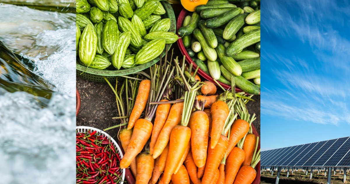 Solutions innovantes pour la sécurité alimentaire mondiale