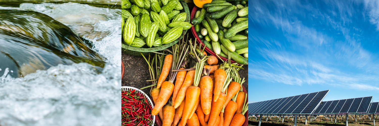 Wasserlösungen zur Bekämpfung der Ernährungssicherheit