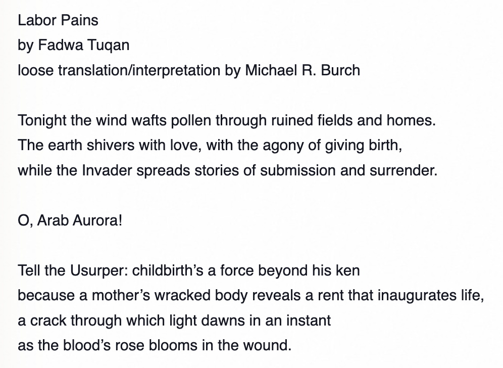 تكريم الشعرية الفلسطينية بجائزة الأركانة 2026