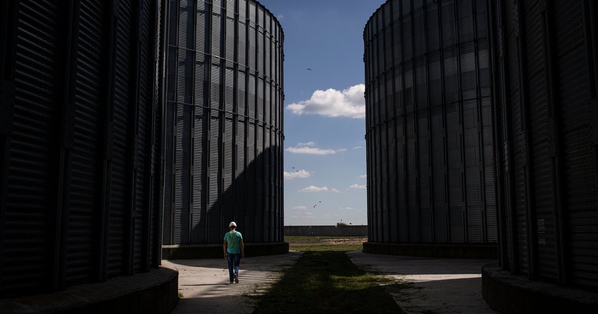 زيلينسكي يندد بشراء إسرائيل للحبوب الأوكرانية