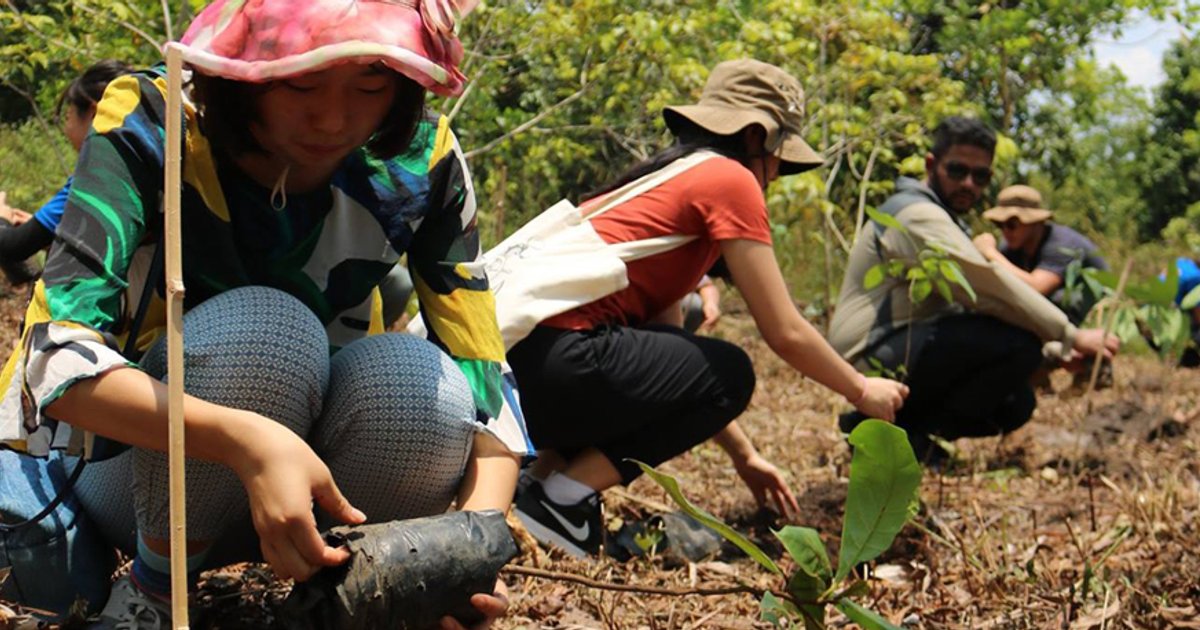 Kohlenstoffinvestitionen in Indonesien: Neue Chancen zur Zusammenarbeit