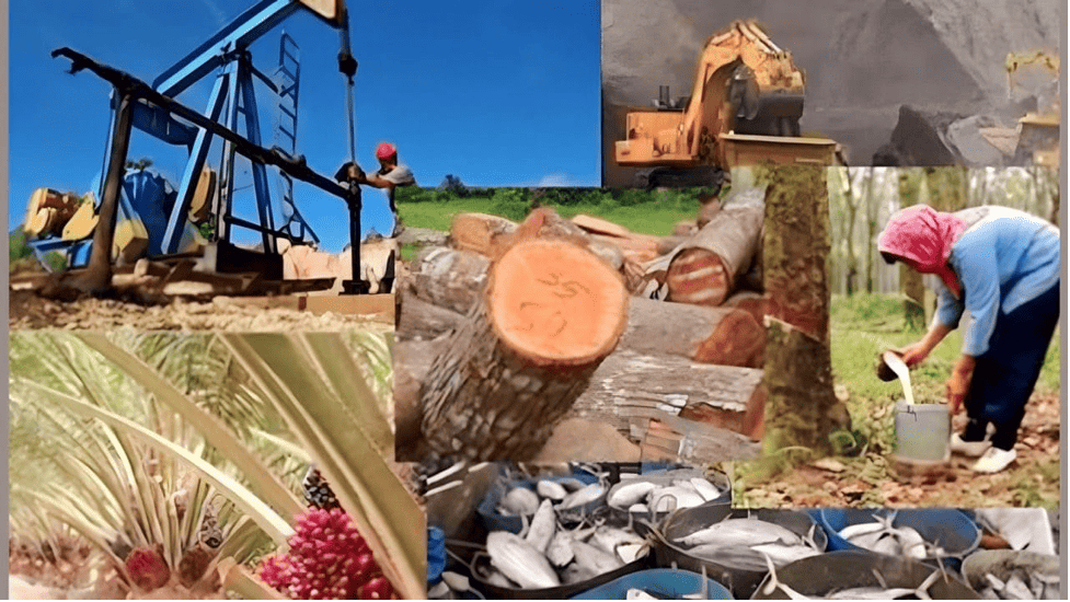 Indonesia Calls for Permanent Fund to Enhance Local Finance