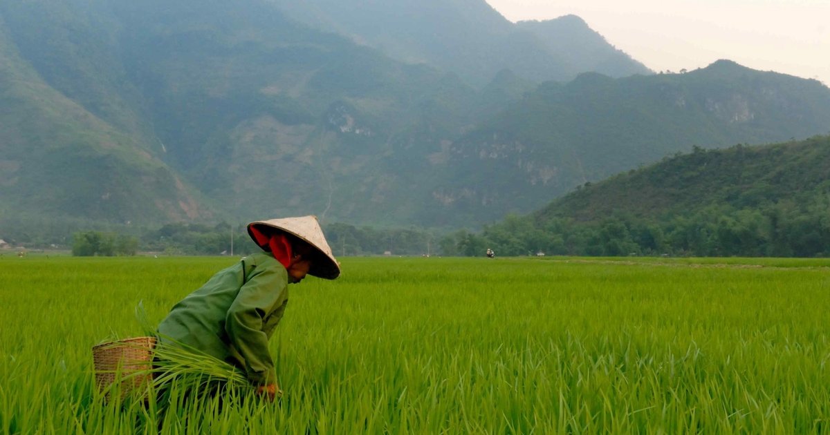 Vingroup setzt auf erneuerbare Energien in Vietnam