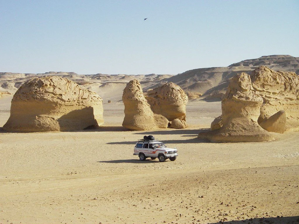 Efforts de Fayoum face aux conséquences du temps instable