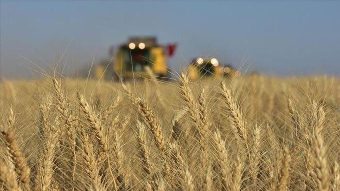 Turkey abolishes customs duties on fertilizers for agriculture