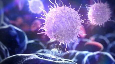 تأثير السمنة على خلايا المناعة: اكتشافات جديدة