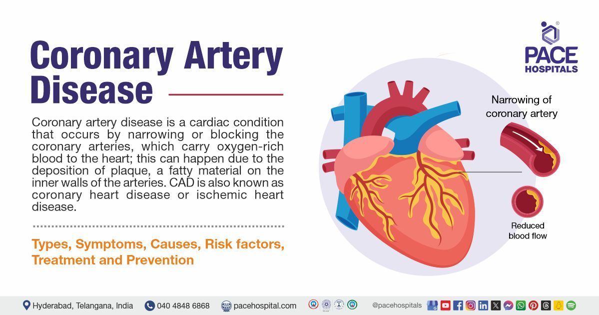 Coronary Artery Narrowing Warnings and Early Screening Importance