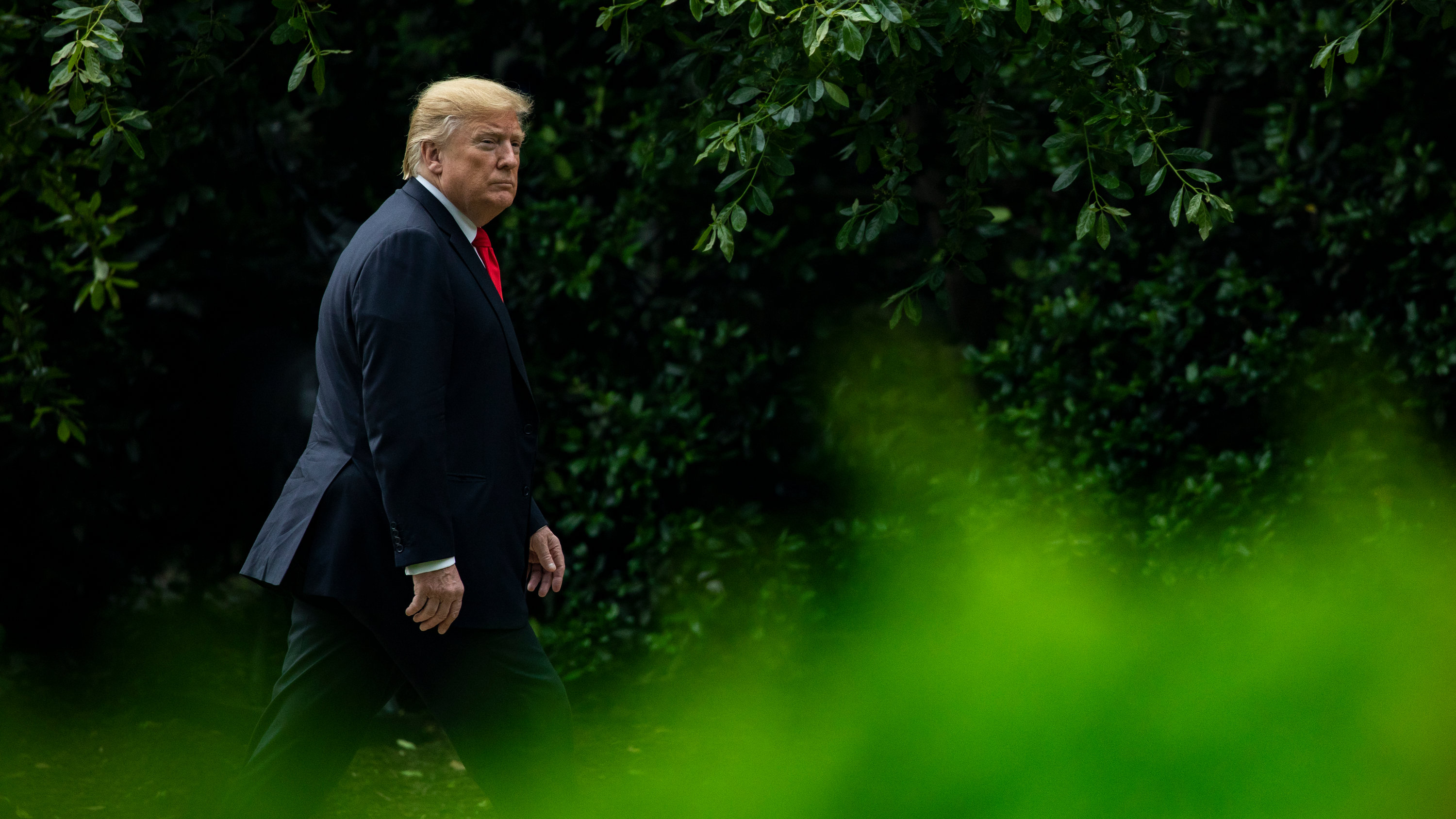 ترامب: آفاق جديدة للشرق الأوسط