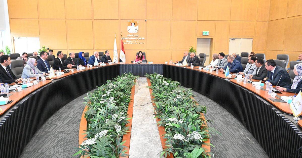 تطوير خدمات المدن الجديدة في مصر