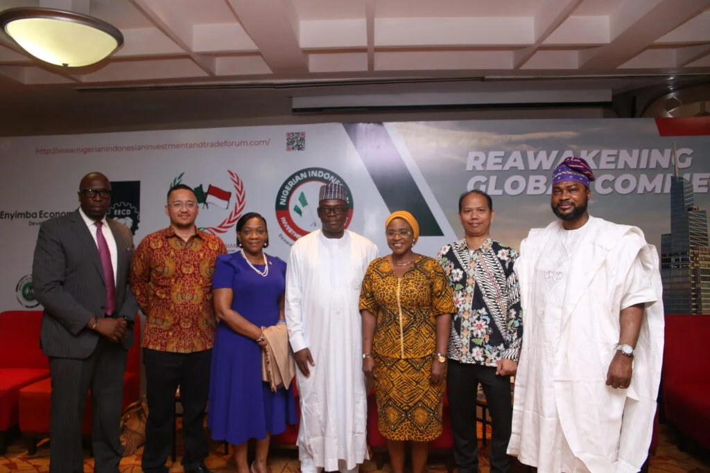 تعاون دولي في التكنولوجيا بإندونيسيا