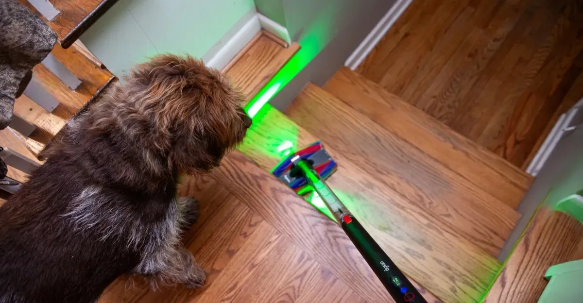 Dyson Rabatte auf den Staubsauger PencilVac Fluffycones