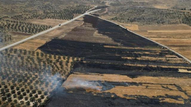 Serangan Pemukim Israel di Tepi Barat