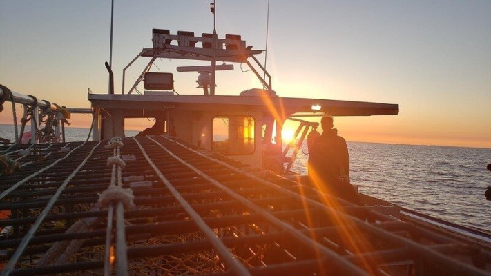 Inquiétude des conducteurs de voitures adaptées au Royaume-Uni