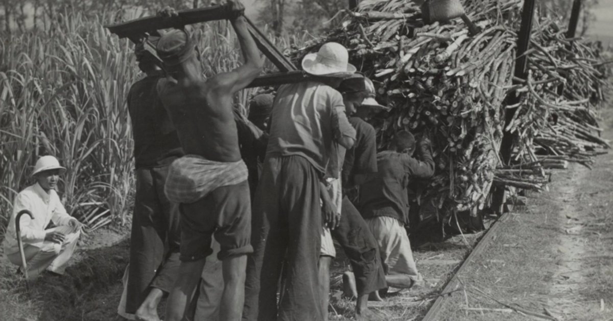 Forderungen zur Freilassung eines wegen Korruption angeklagten Videofilmer