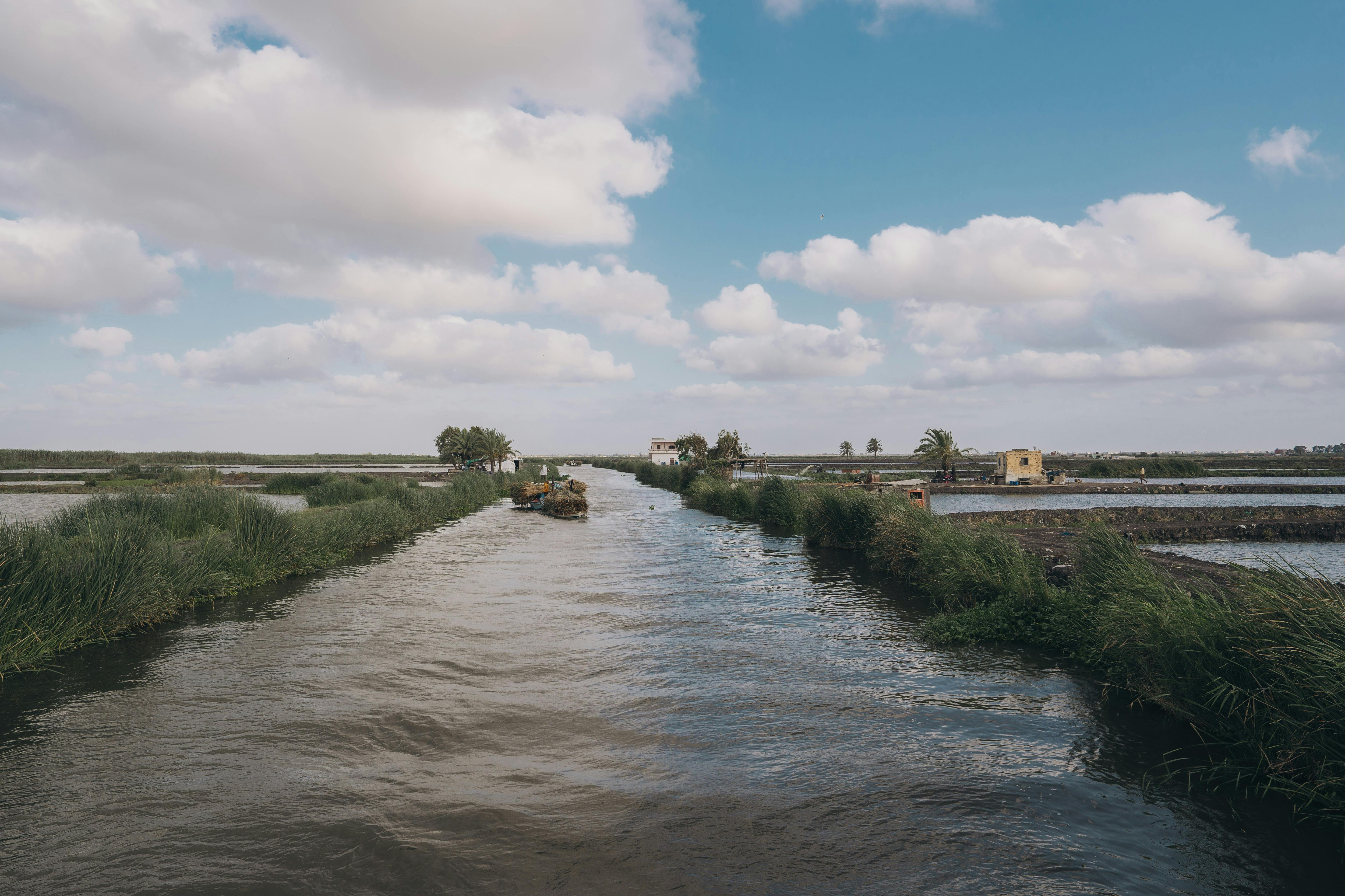استعدادات وزارة الري لموسم الزراعة الصيفي في مصر