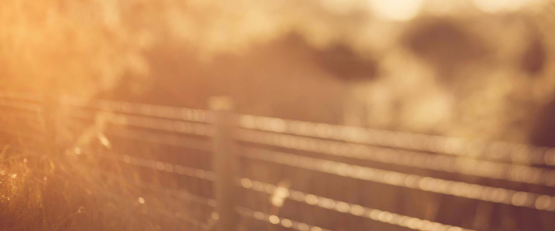 موعد صرف منحة عيد الفطر للعمالة غير المنتظمة