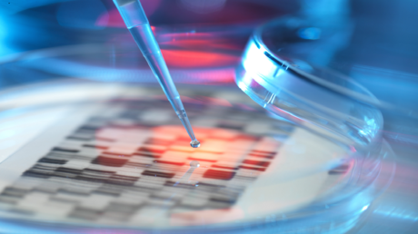 دراسة جديدة حول أصول الإنسان الحديث في إفريقيا