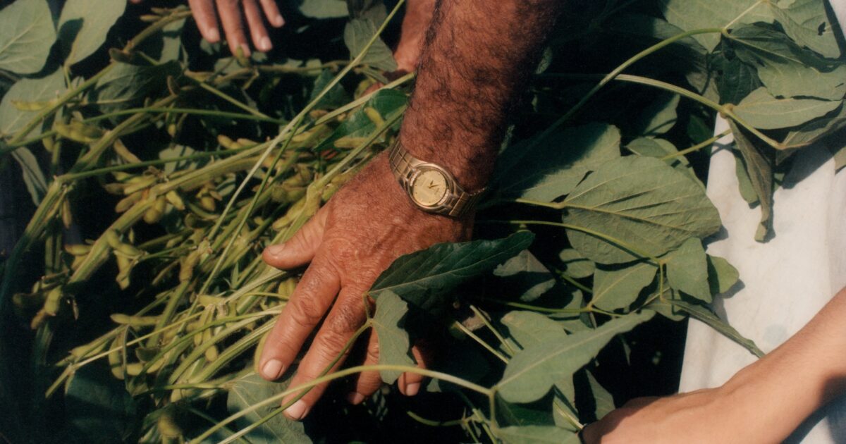 Succès de "He Kimya" suscite des réactions positives